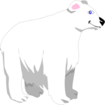 Polar Bear 3