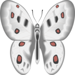 Butterfly 101 Clip Art