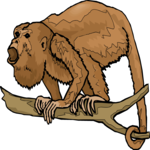 Monkey - Howler 1