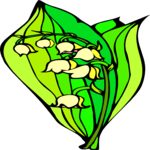 Lily of the Valley 1