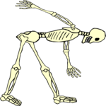 Skeleton 12 Clip Art