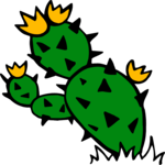 Cactus 46