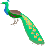Peacock 2 Clip Art