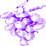 Grapes 57 Clip Art