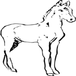 Horse - Foal