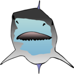 Shark 16