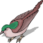 Bird 184 Clip Art