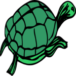 Turtle 8