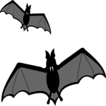 Bats 1