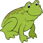 Frog 20