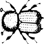 Crawling Insect 09 Clip Art