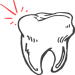 Tooth 11 Clip Art