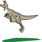 Kangaroo Jumping 2