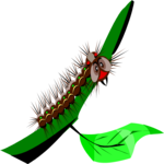 Caterpillar 4