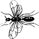 Flying Insect 05 Clip Art