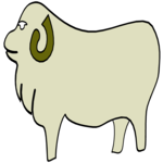 Sheep 06