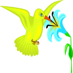 Hummingbird 09