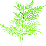 Plant 065 Clip Art