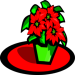 Poinsettia 04