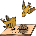 Birds with Nut