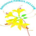 Rhododendron - Yellow Clip Art