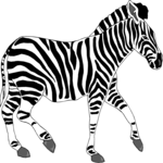 Zebra 04 Clip Art