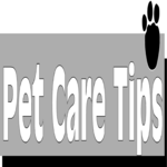 Pet Care Tips