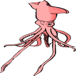 Squid 03