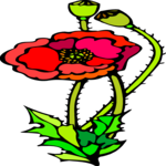 Poppy 3 Clip Art