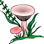Mushrooms 11 Clip Art