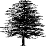 Tree 021