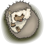 Hedgehog 3 Clip Art