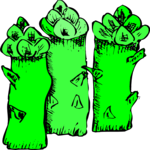 Asparagus 08