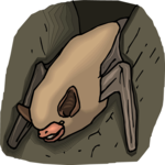 Bat 23 Clip Art