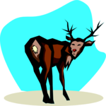 Reindeer 18