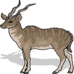 Antelope 38
