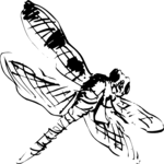 Dragonfly 3 Clip Art