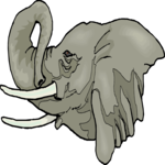 Elephant 17