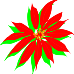 Poinsettia 2