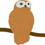 Owl 16