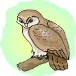 Owl 33 Clip Art