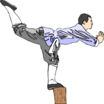 Martial Arts 05 Clip Art