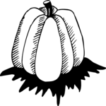 Pumpkin 08