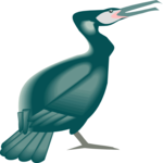 Cormorant 1 Clip Art