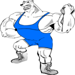 Wrestler - Bear