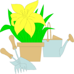 Flower Pot & Tools