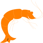 Shrimp 1