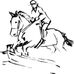 Equestrian - Jumping 2