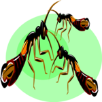 Pincher Bugs