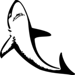 Shark 25